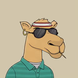 Camel #5924