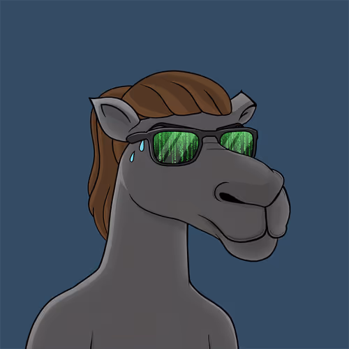Camelsnftio