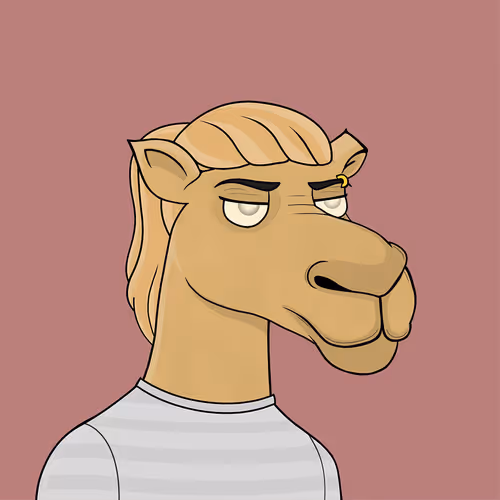 Camelsnftio