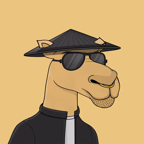 Camelsnftio
