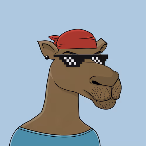 Camelsnftio