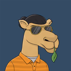 Camel #2625
