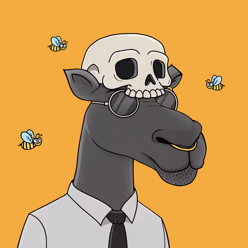 Camelsnftio