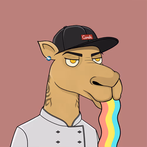 Camelsnftio