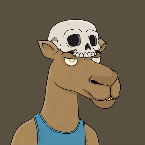 Camelsnftio