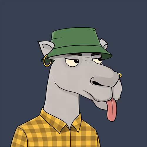 Camelsnftio