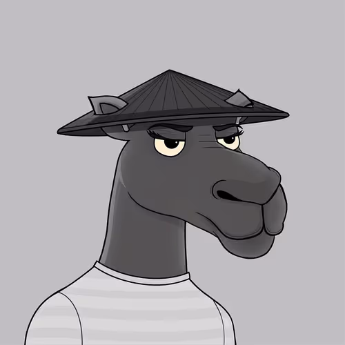Camelsnftio