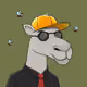 Camel #2222