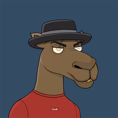 Camelsnftio