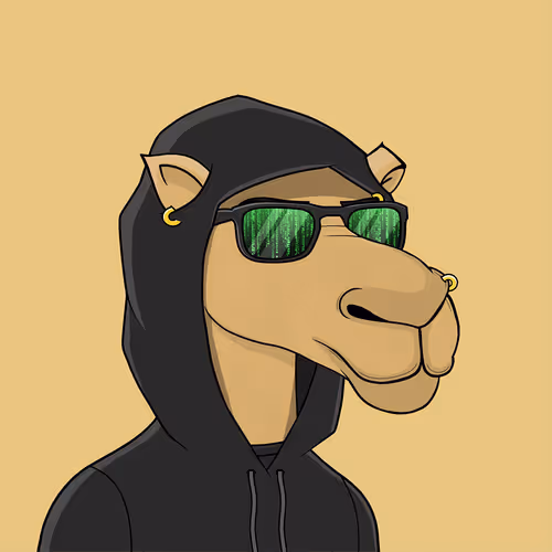 Camelsnftio