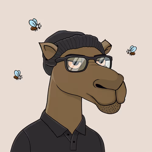 Camelsnftio