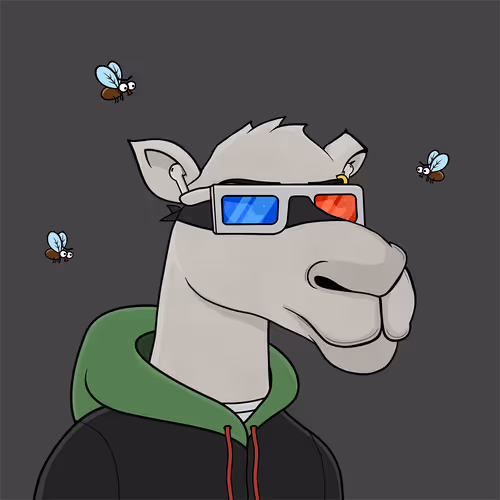 Camelsnftio