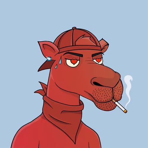 Camelsnftio
