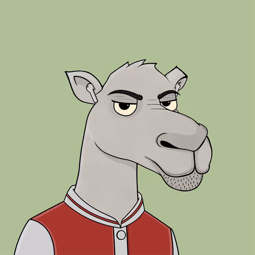 Camelsnftio