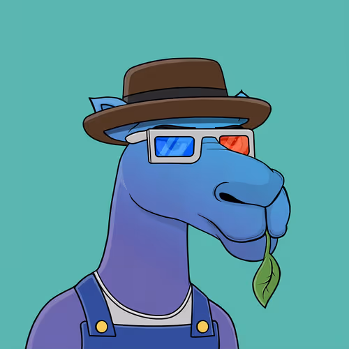 Camelsnftio