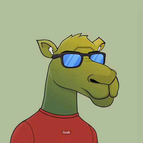 Camelsnftio