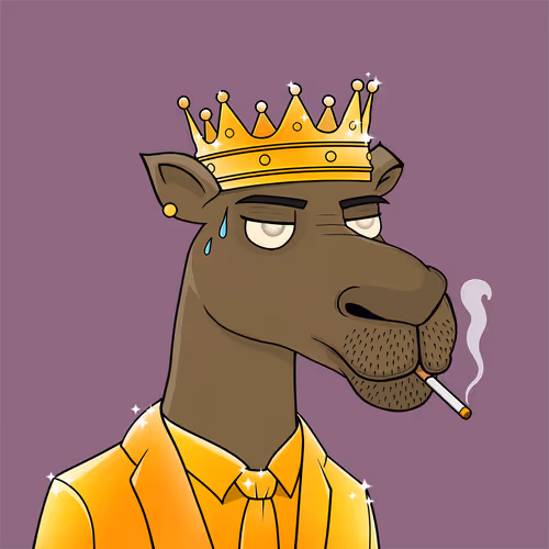Camelsnftio