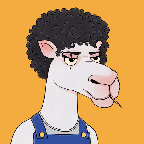 Camelsnftio