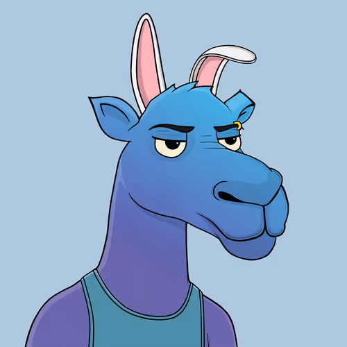 Camelsnftio