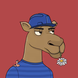 Camel #6478