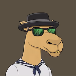 Camel #2868