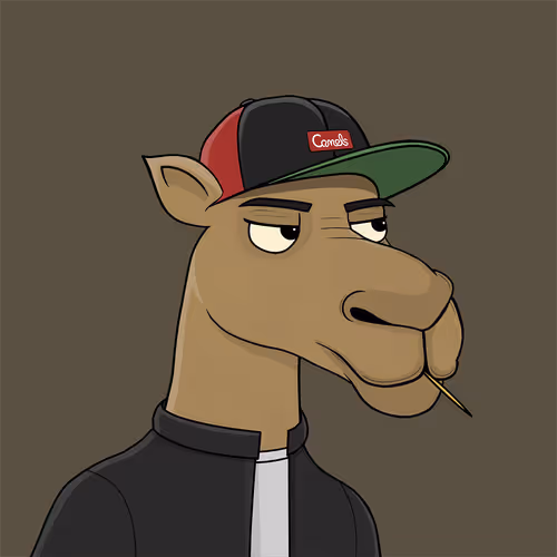 Camelsnftio
