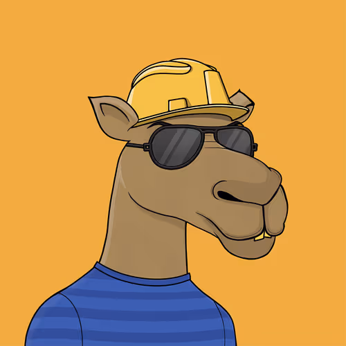 Camelsnftio