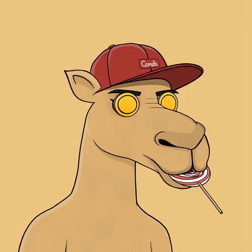 Camelsnftio