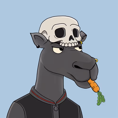 Camelsnftio