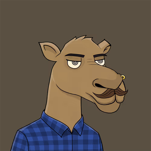 Camelsnftio