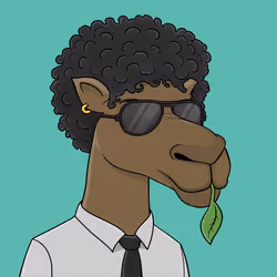 Camel #4627