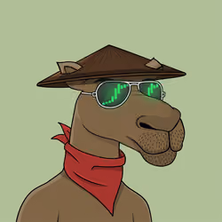 Camel #4625