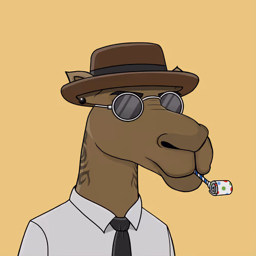 Camelsnftio