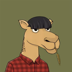 Camel #4219