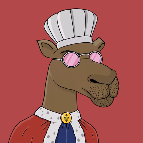 Camelsnftio