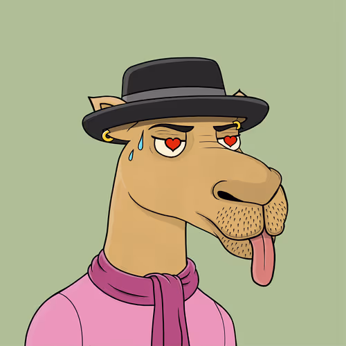 Camelsnftio
