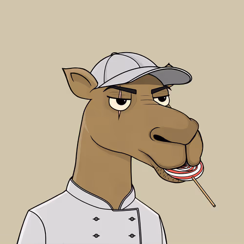 Camelsnftio