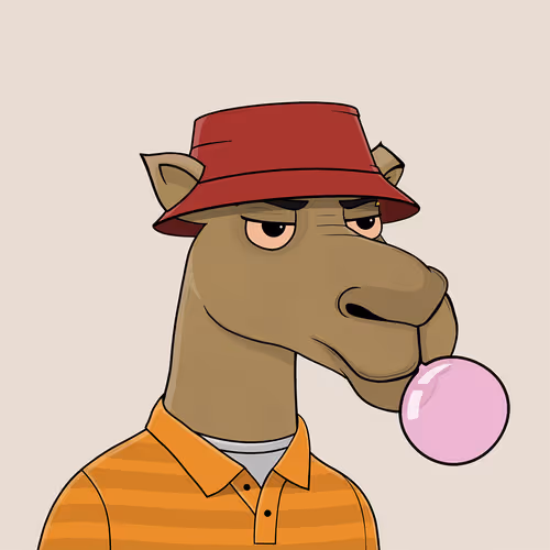 Camelsnftio