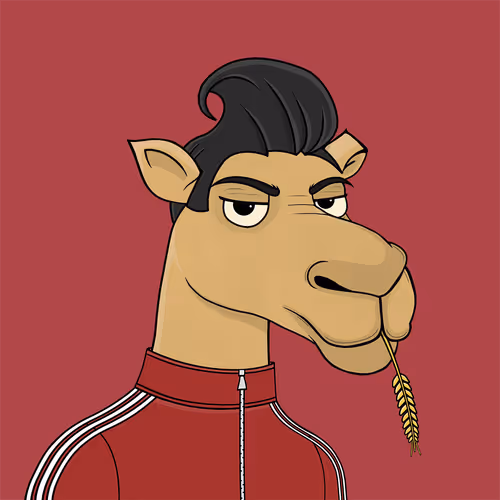 Camelsnftio