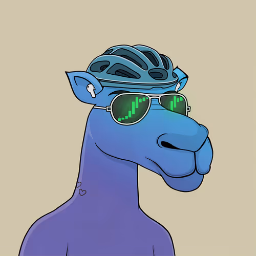 Camelsnftio