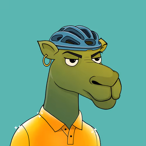 Camelsnftio