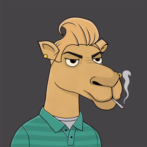 Camelsnftio