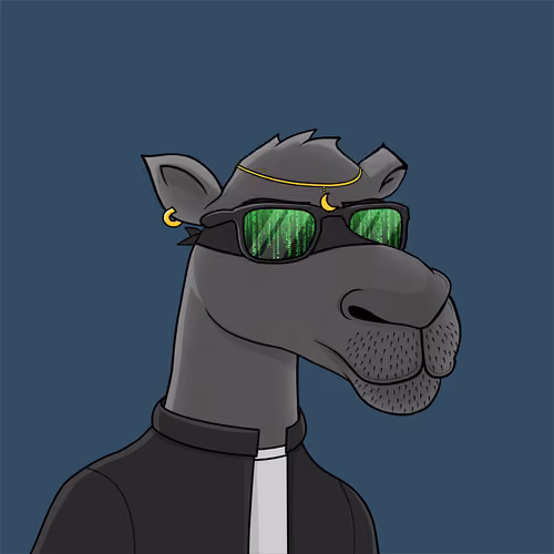 Camel #5964
