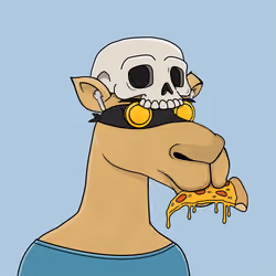 Camel #1382