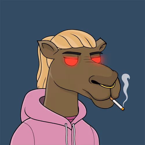 Camelsnftio
