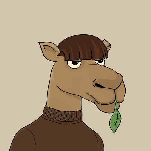 Camelsnftio