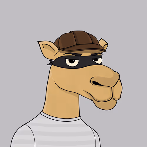 Camelsnftio
