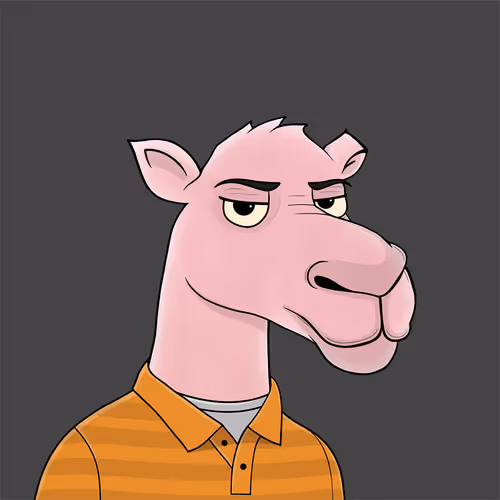 Camelsnftio
