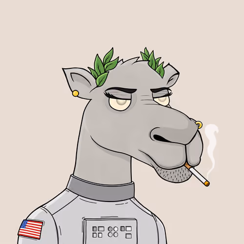 Camel #6058