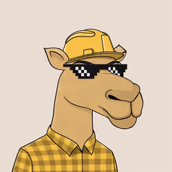 Camel #5347